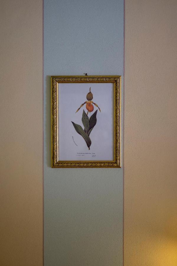 Piadena Hotel Airone מראה חיצוני תמונה
